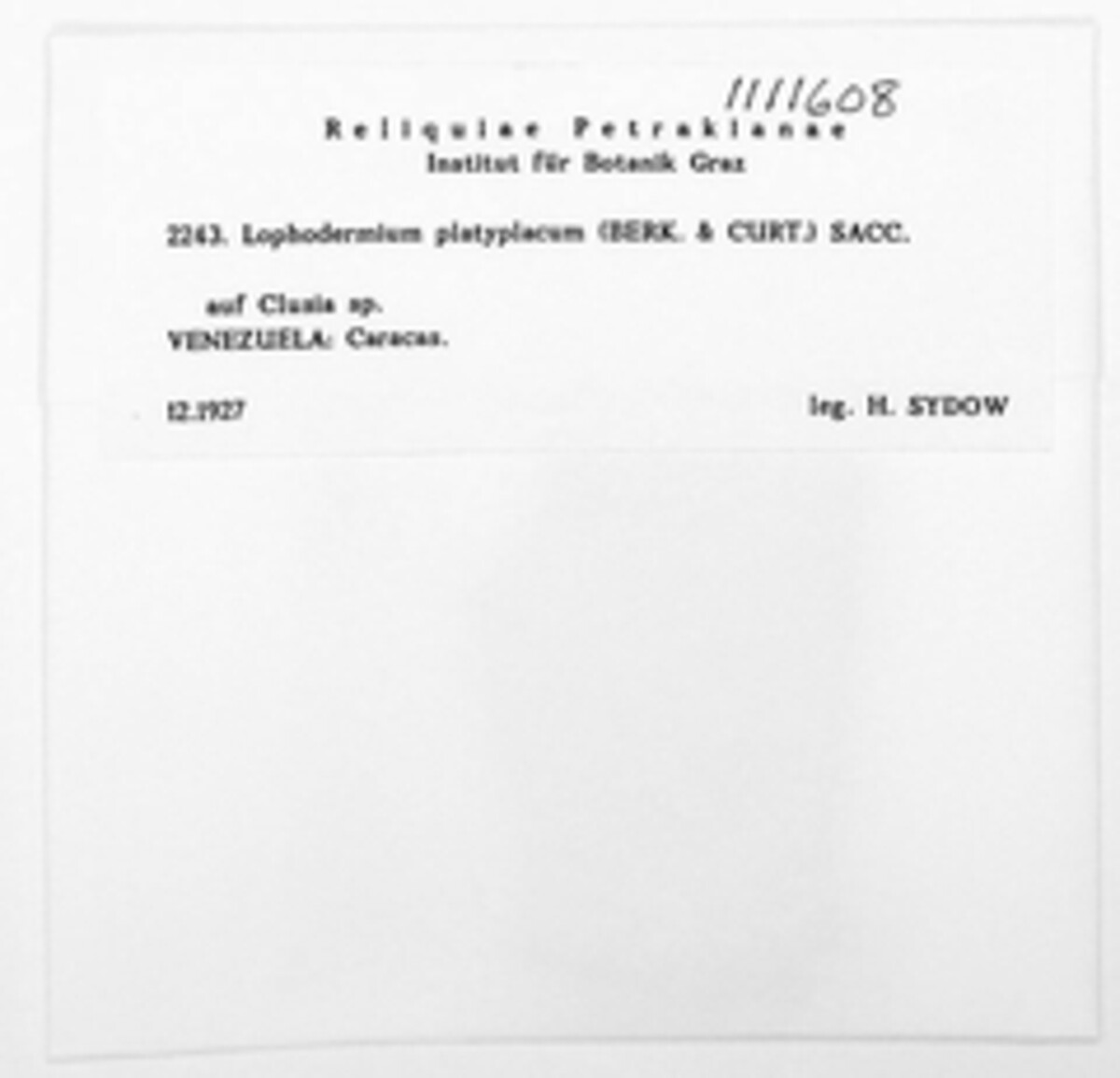 Clithris platyplacum image
